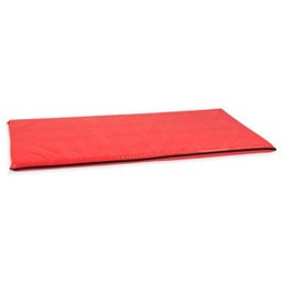 Colchonete em Napa com Espuma 120 X 60 X 4 cm com Zíper - Vermelho - 1