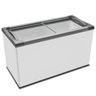 EXPOSITOR HORIZONTAL METALFRIO 388L 220V 2 PORTAS BRANCO (NF40) - 1