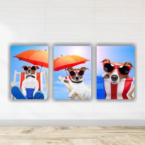 Kit Quadros Decorativos PET 3 peças