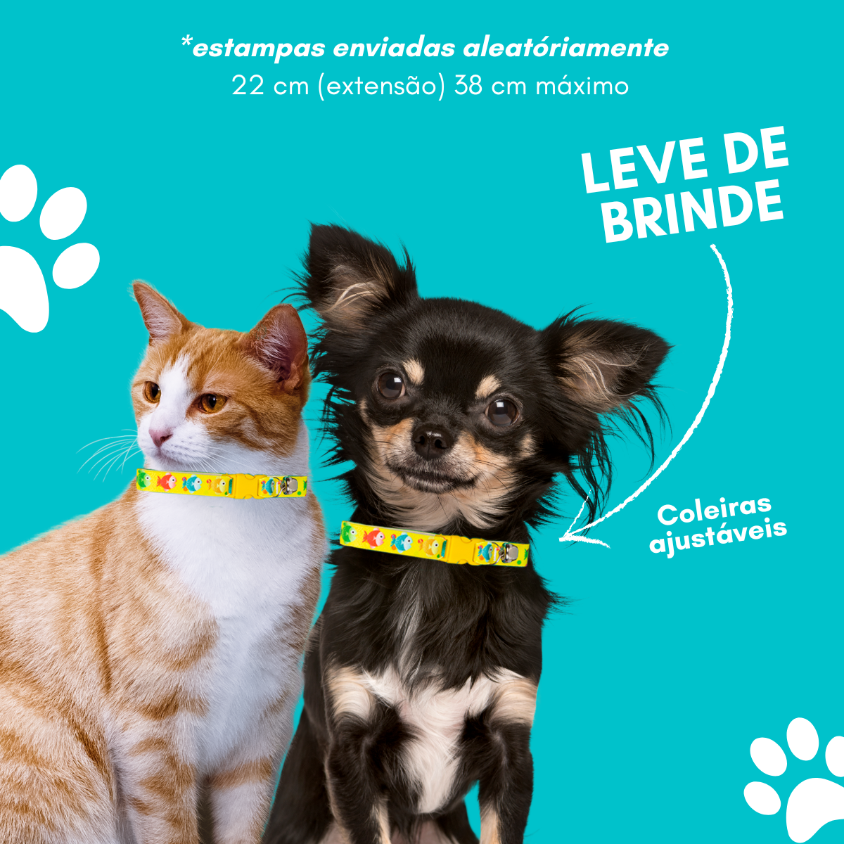 Kit Pet Com Cama Cachorro Gato M 57X37 Não Atrapalhe O Sono - 6