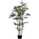 Ver imagem 1 de Árvore Artificial Bambu 210cm | Linha Permanente Formosinha