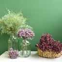 Ver imagem 3 de Buquê De Flores Artificiais de Gypsophila Marsala | Linha Permanente Formosinha