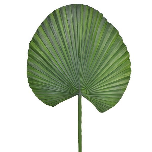 Folha Artificial de Palmeira Leque Toque Real Grande | Folhas Permanentes