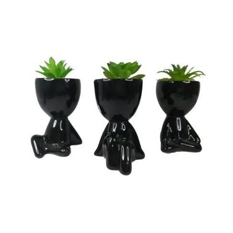 Kit Bob com Suculenta - Preto