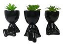 Ver imagem 1 de Kit Bob com Suculenta - Preto