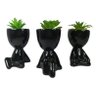 KIT BOB COM SUCULENTA - PRETO - 1
