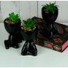 KIT BOB COM SUCULENTA - PRETO - 2