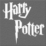 Espelho Decorativo Harry Potter Qcola 60x24 Cm - 2
