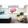 Quadro Decorativo Cerebro Entrada Escritório Consultorio - 2