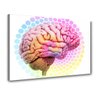 Quadro Decorativo Cerebro Entrada Escritório Consultorio - 1