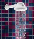 Ver imagem 2 de Bella Ducha 4t 127v 5500w Bc* - Lorenzetti
