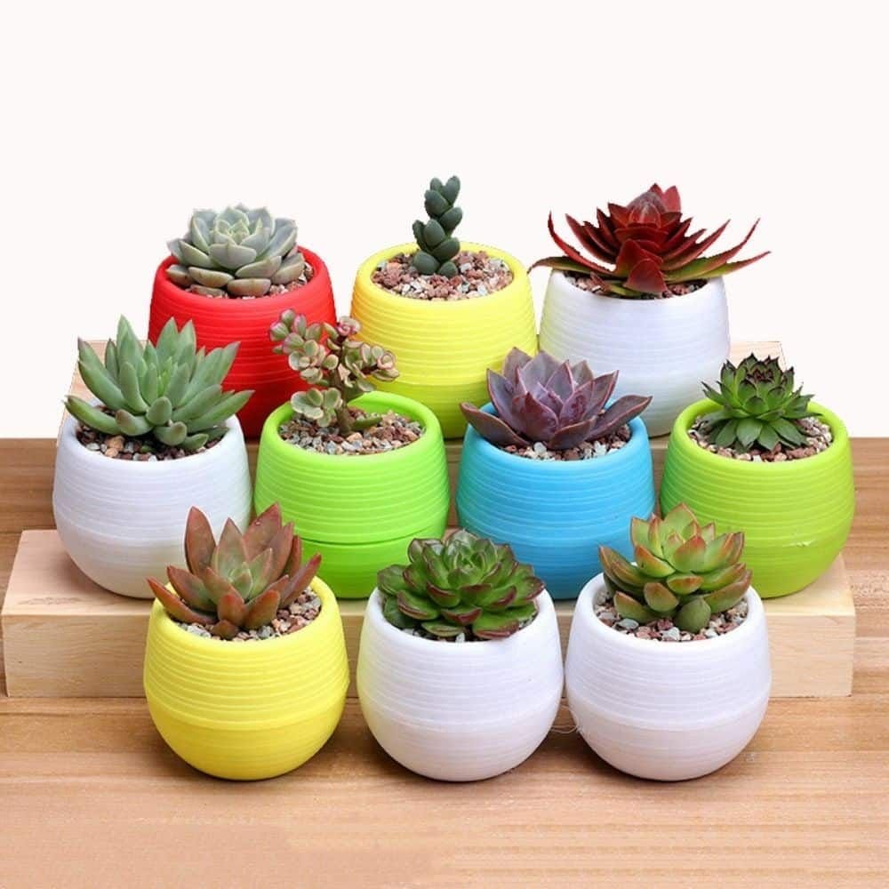 Vaso Decorativo Plástico Cachepot Redondo Branco P/ Plantas - 7