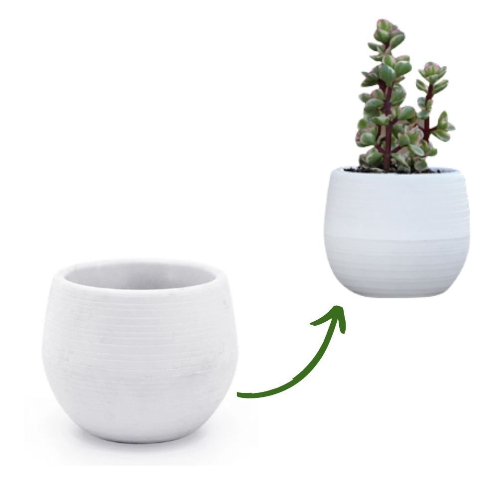 Vaso Decorativo Plástico Cachepot Redondo Branco P/ Plantas - 6