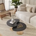 Ver imagem 1 de Kit 2 Mesas de Centro para Sala Design Orgânica Gaia com Metal Dourado e MDF Preto