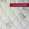 Colchão Solteiro de Espuma Orthocrin Diamante D33 88x188x16 Alto Suporte Espuma Certificada - 6