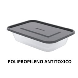 Conjunto de Potinhos para Marmita Comida Fit Salada 500ml - 2