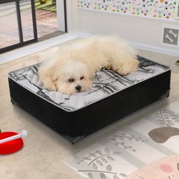 Cama Box Pet Estampada - 3