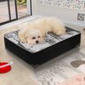 Cama Box Pet Estampada - 3