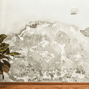 Ver imagem 2 de Mata-mofo Ibratin - 600ml