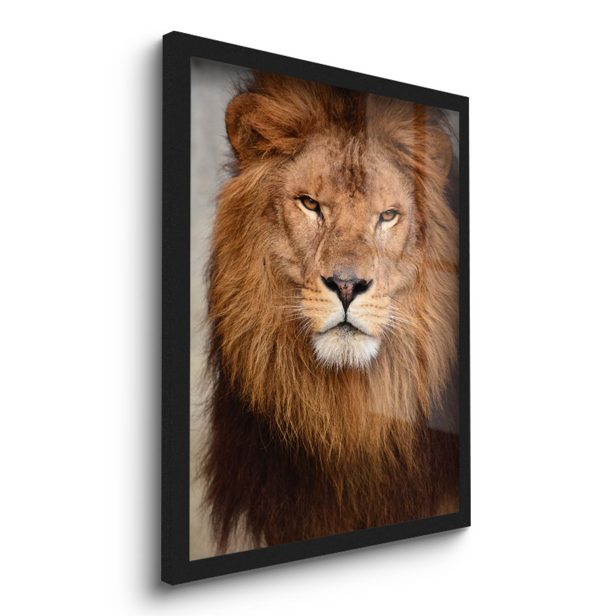 Quadro Decorativo Leão Rei Força Fé 2 45x33 C/vidro