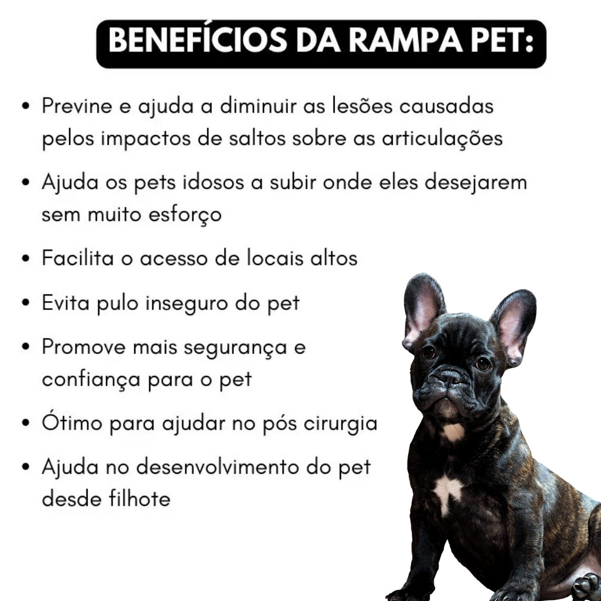 Rampa Pet Para Pets Bulldog inglês - 6