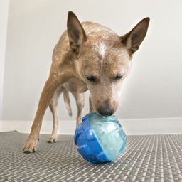 Brinquedo Kong Rewards Ball Grande para Cães - 3