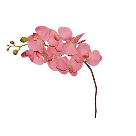 ORQUIDEA X8 100CM TOQUE REAL ROSA