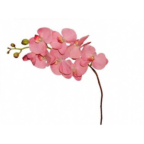 Orquidea X8 100cm Toque Real Rosa