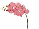 Ver imagem 1 de Orquidea X8 100cm Toque Real Rosa