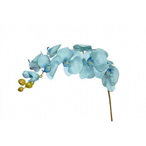 Orquidea X8 100cm Toque Real Azul