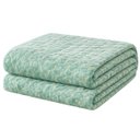 Ver imagem 1 de Cobertor Manta Fio de Ouro Casal 190x210 Toque Macio Luxo Decorativa Verde