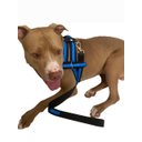 Ver imagem 5 de Coleira Peitoral Ajustável com Guia para Pet:verde/m