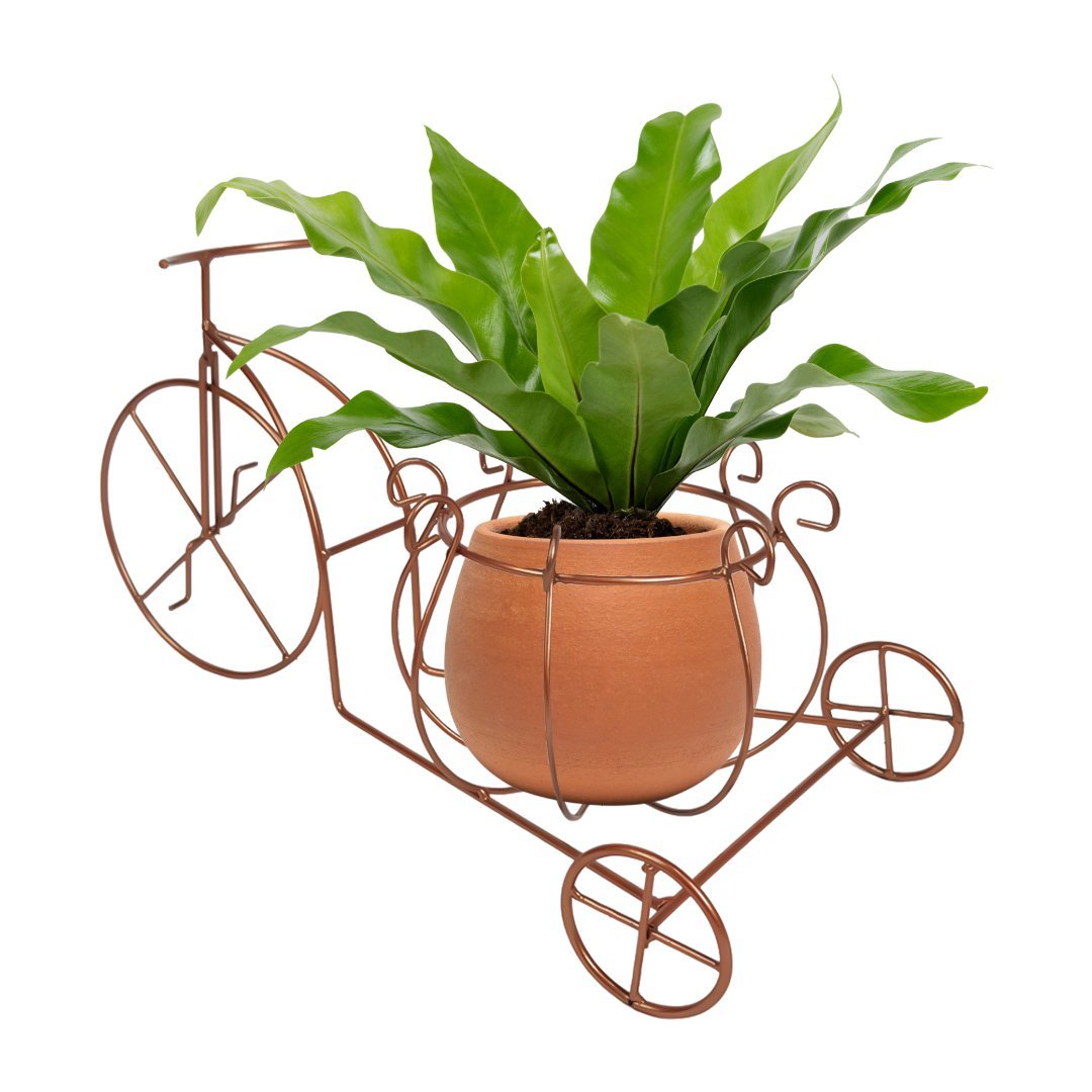 Bicicleta floreira jardim decoração média p/ vaso ferro rose - 2