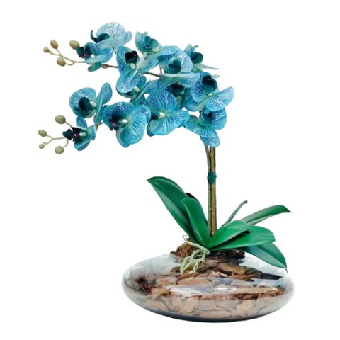 Arranjo com 2 Orquideas Azul Flores Realista Vaso Terrário