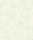 Ver imagem 1 de Papel de Parede Texture Ii - Cimento Queimado Off-white com Brilho Tx-2041