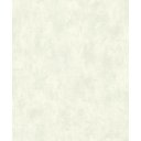 Ver imagem 1 de Papel de Parede Texture Ii - Cimento Queimado Off-white com Brilho Tx-2041