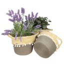 Ver imagem 7 de Cesto de Palha Rustico Organizador e Decorativo Partna 4027cz