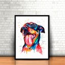 Ver imagem 2 de Quadro com Moldura Cachorro Pintura Tinta Colorido 30x40cm