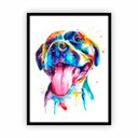 Ver imagem 1 de Quadro com Moldura Cachorro Pintura Tinta Aquarela 30x40cm