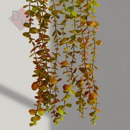Dischidia Planta Artificial Pendentearranjo Folha Permanente:planta Degradê - 3