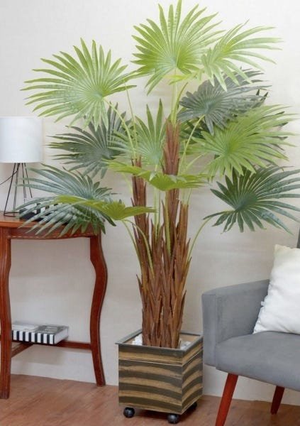 Palmeira Leque Real Toque Verde 1,7m Planta Artificial - 1