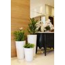 Vaso Decorativo para Plantas e Flores Fibra de Vidro Estilo Vietnamita 80x40cm Branco - 2