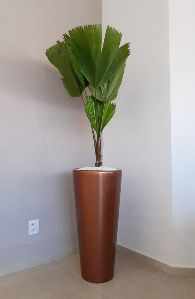 Vaso Decorativo para Plantas e Flores Fibra de Vidro Estilo Vietnamita 80x40cm Cobre