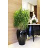 Vaso para Plantas Fibra de Vidro Estilo Vietnamita 70x50cm Preto - 1