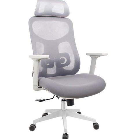 Kit com 2 Cadeiras Office Presidente Ajustavel e Ergonomica com Nr 17 Everest
