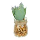 Ver imagem 1 de Vaso com Suculenta Folha Alta Verde Claro 10x7 cm - D’Rossi
