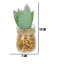 Ver imagem 4 de Vaso com Suculenta Folha Alta Verde Claro 10x7 cm - D’Rossi