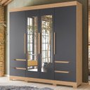 Ver imagem 2 de Guarda Roupa Casal 212cm com Espelho Vivacce Freijó/titanium - Albatroz