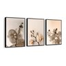 Conjunto 3 Quadros Decorativos Orquídeas - 1