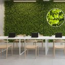 Ver mais imagens de 3 Placas Jardim Vertical Artificial 3d Parede Verde Revestimento com Plantas